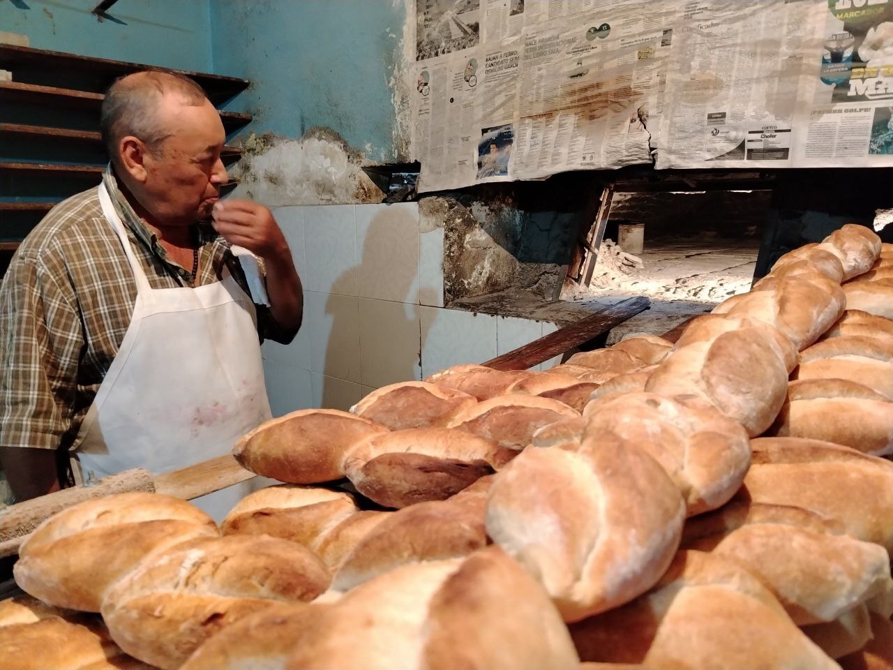 Sequía reduce las ventas de bolillos en Manuel Doblado: “vivimos de milagro” 