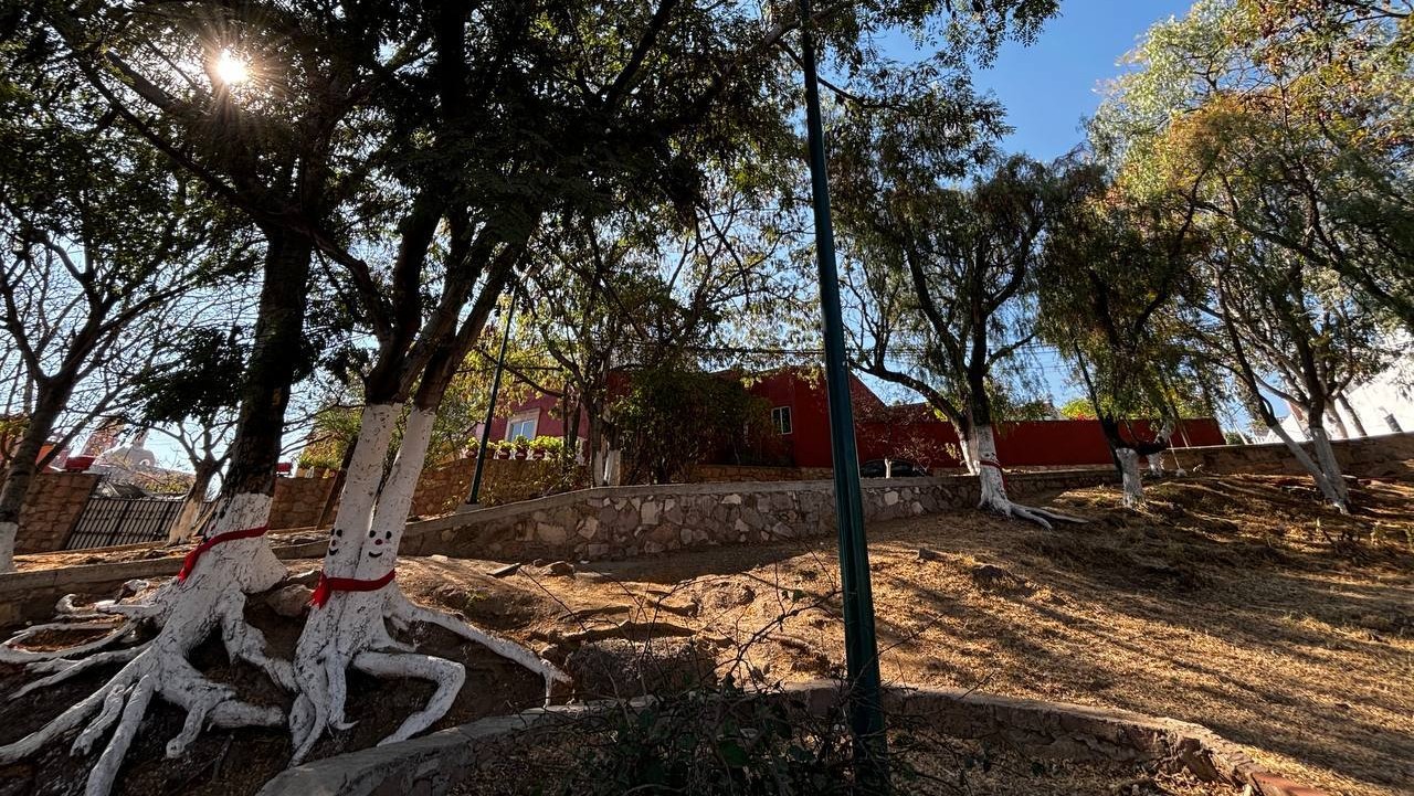 Comerciantes embellecen jardín de Marfil con decoración navideña 