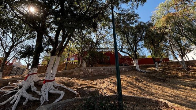 Comerciantes embellecen jardín de Marfil con decoración navideña 