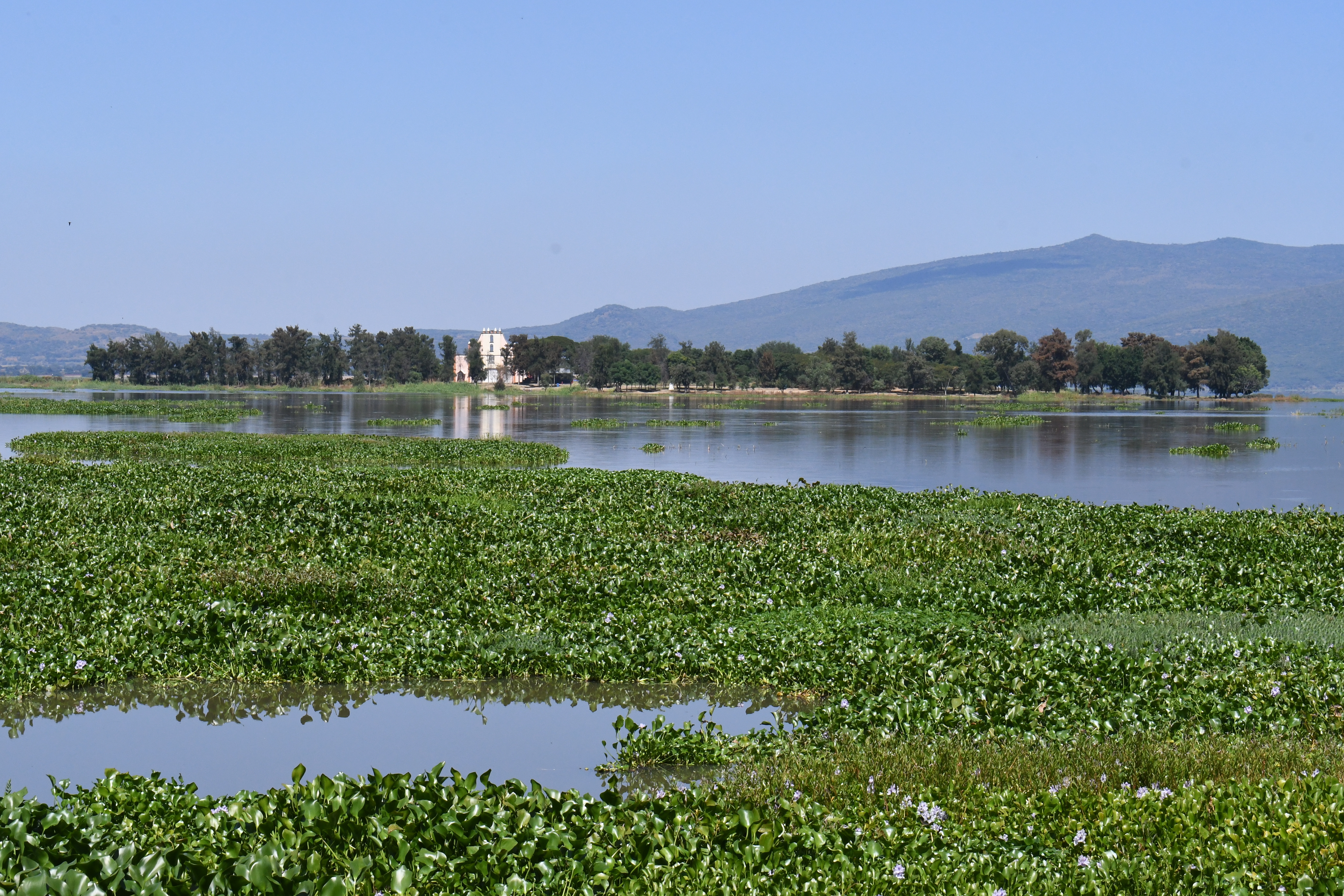 Yuriria: proyectos en puerta para conservar la Laguna y áreas naturales protegidas en 2025