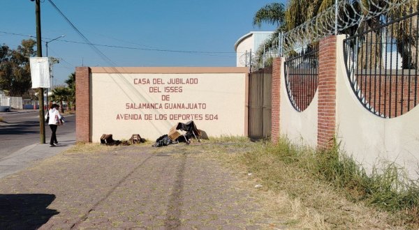 Reportan presunto abandono de adulta mayor en Salamanca ¿qué se sabe?