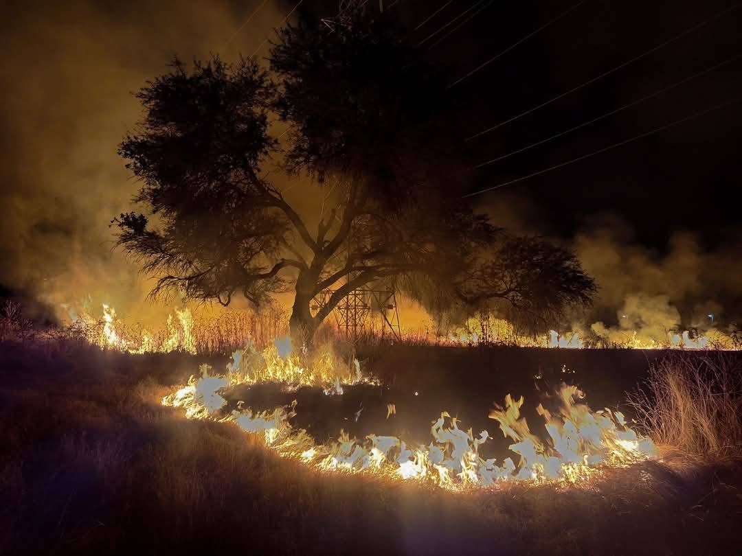 Bomberos apagan incendio en Puentecillas de Guanajuato capital ¿qué sucedió? 