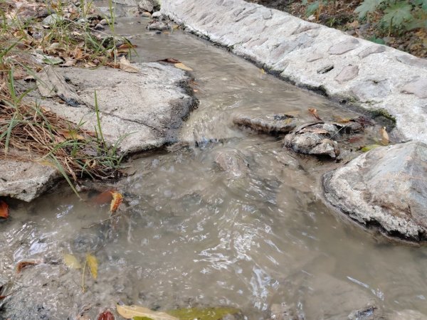 Aguas negras en el Barrio de Cata un problema ambiental y de salud que exige solución