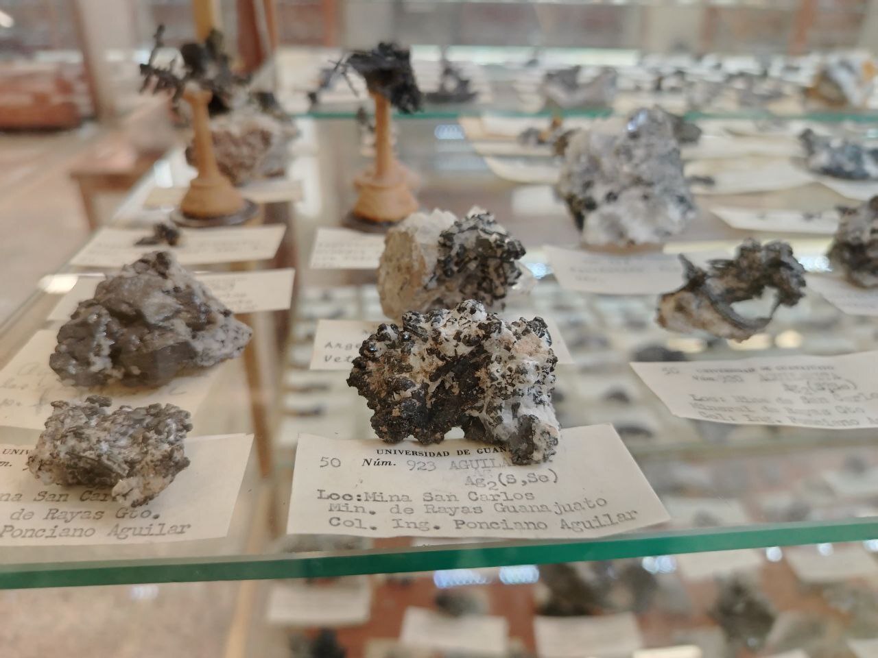 ¿Conoces el Museo de Mineralogía de la UG? Exhibe más de 22 mil ejemplares únicos