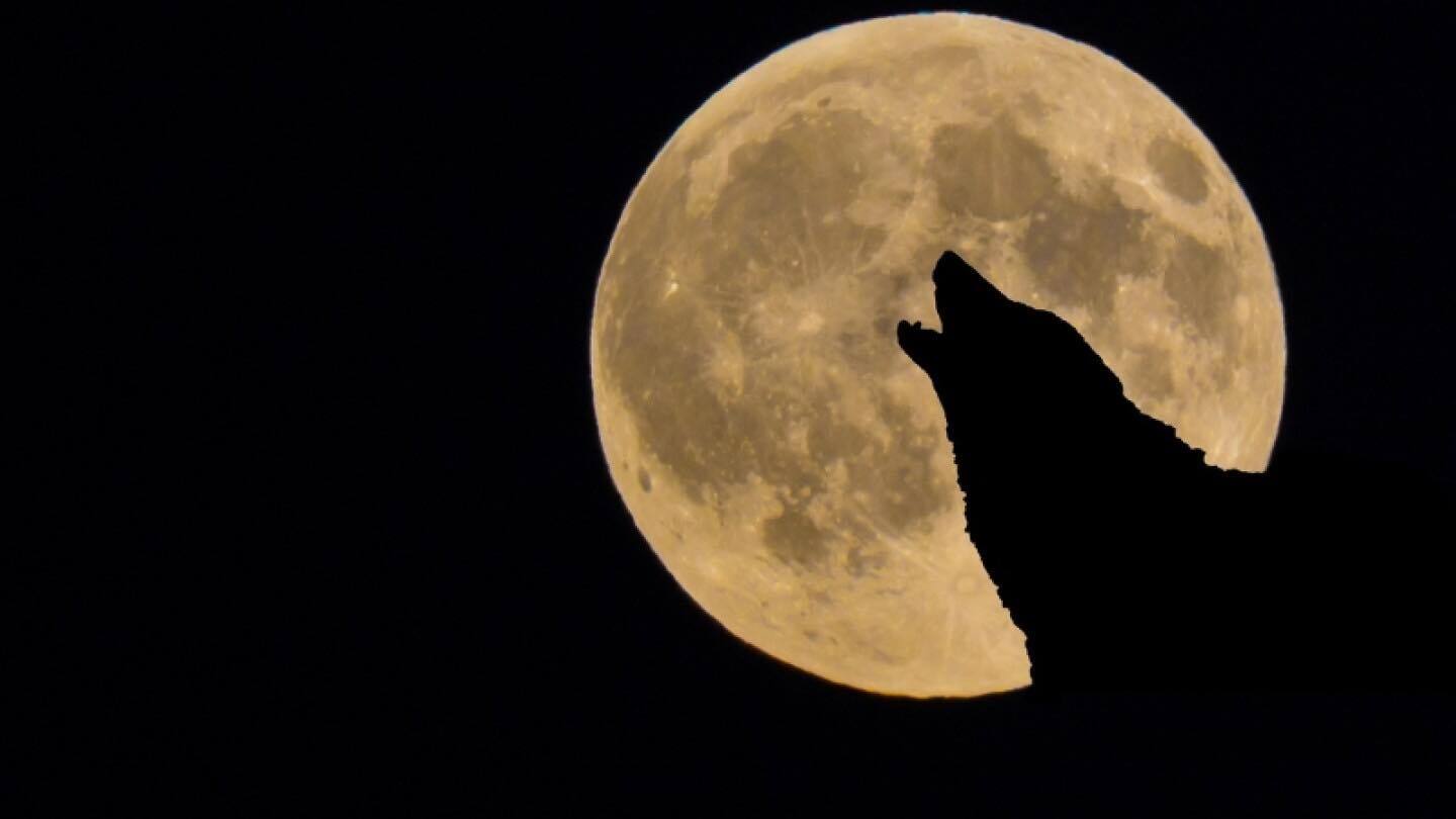 Luna de Lobo 2025: ¿Cuándo se verá en México y por qué se llama así?