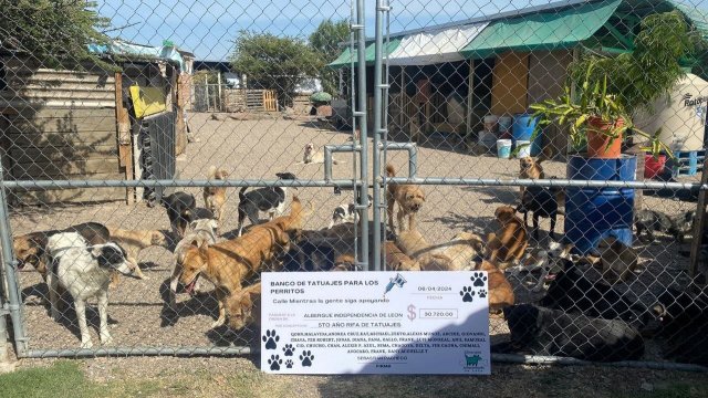 Albergue Independencia organiza rifa para salvar a más de 100 animales