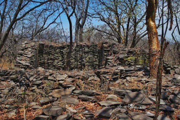 Saqueos amenazan el patrimonio arqueológico en El Moro de Barajas en Pénjamo 