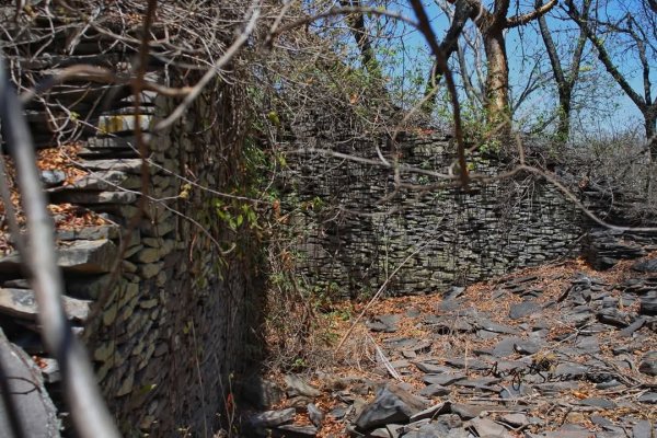 Abandono y saqueos amenazan la riqueza arqueológica de El Moro de Barajas en Pénjamo