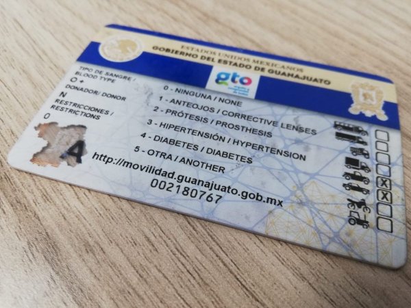 ¡No caigas! Alertan por fraudes en trámites de licencias en Guanajuato, ¿cómo funciona? 