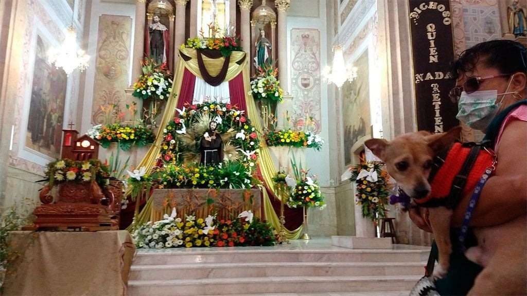 ¿Qué se celebra hoy 17 de enero? Día Mundial de Bendecir a los animales y San Antonio Abad