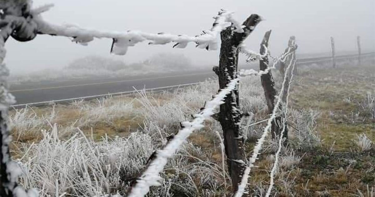 Alertan por caída de nieve en Guanajuato ¿qué municipios serán afectados?