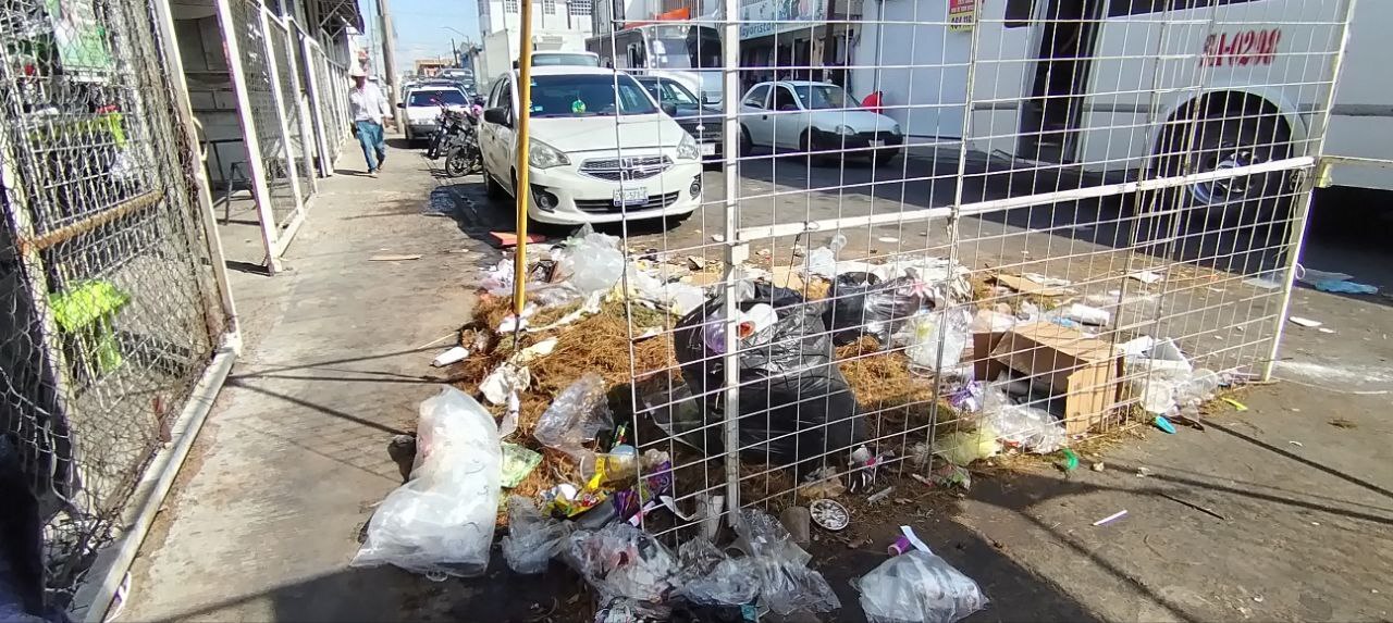 Puntos rojos de basura en Salamanca no se erradican: ¿endurecerán sanciones?