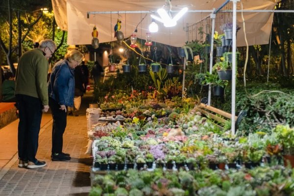 La Feria de la Candelaria de San Miguel de Allende cambia de sede ¿A dónde? 