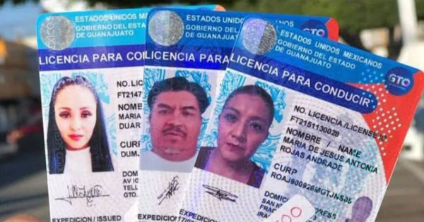 Identifican a estafadores que tramitan licencias de conducir en San José Iturbide, ¿cómo operan? 