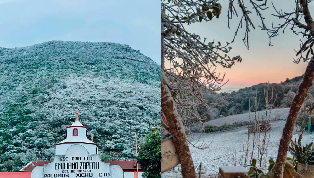 Nieve sorprendió a Xichú, Guanajuato por primera vez en 20 años