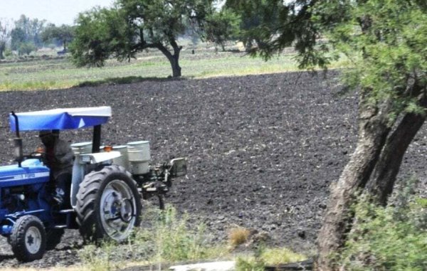 Sequía amenaza producción agrícola de Guanajuato: “todos estamos preocupados”