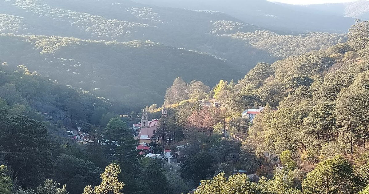 “Ojalá que cayera nieve”: Frente Frío 24 trae heladas y fuertes vientos en sierra de Guanajuato 