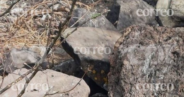 ¡Bajo piedras! Descubren cuerpo en cerro de la nopalera en Jaral del Progreso