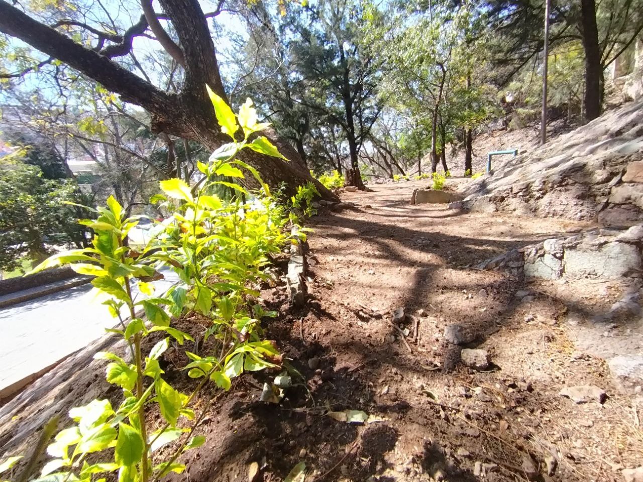 Guanajuato inicia rehabilitación de Las Terrazas, ¿qué cambios tendrá? 