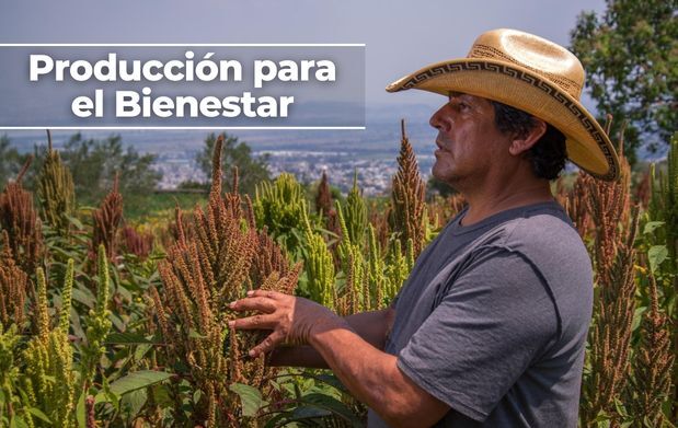 Conoce cómo recibir hasta 24 mil pesos en el programa 'Producción para el Bienestar'